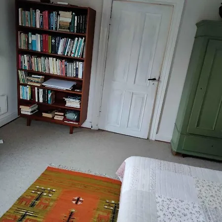Panoramic View On Fur